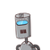 guest