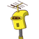 guest